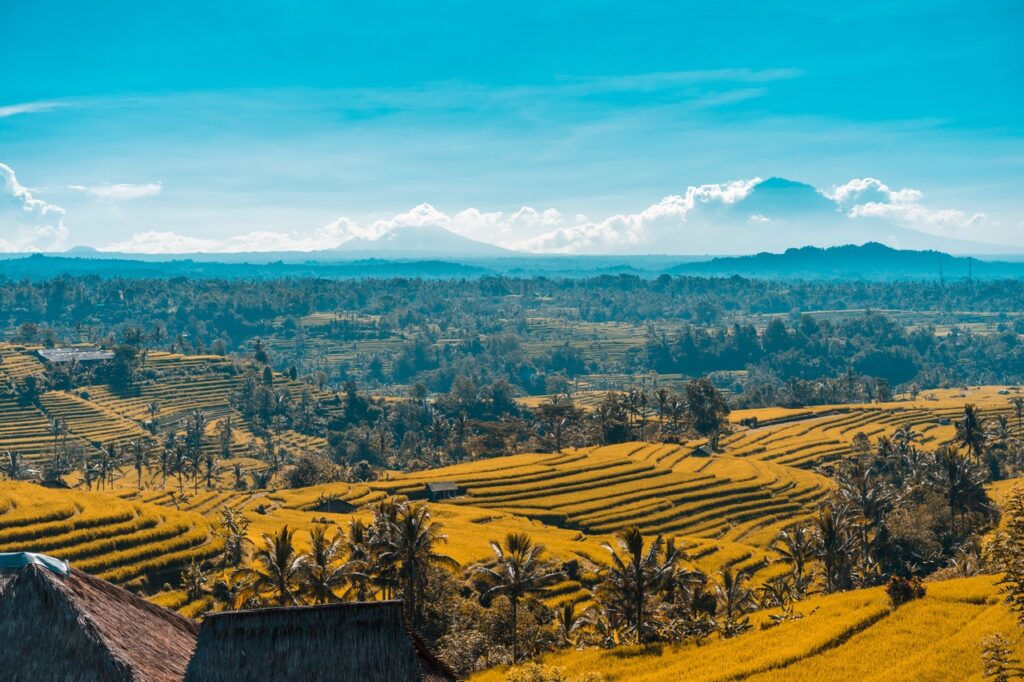 Tanah Lapang