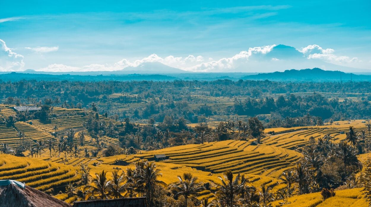Tanah Lapang