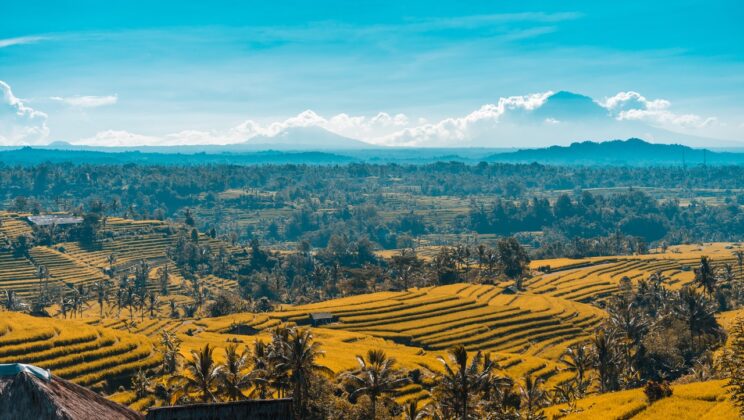 Jogja, Jakarta, dan Tanah Lapang