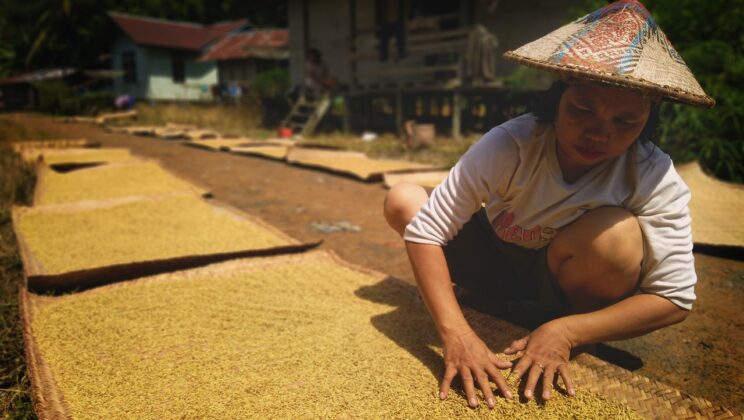Berkarier Tanpa Predikat “Wanita Karier”: Sebuah Kisah Pinggiran
