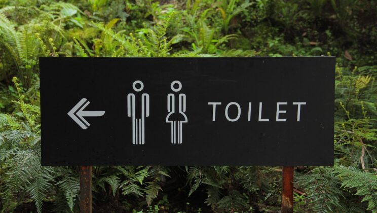 Anak Toilet
